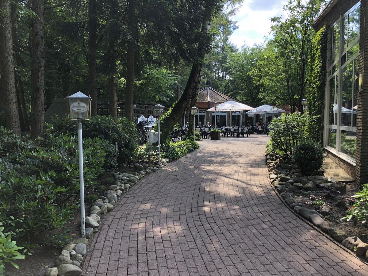 Waldhotel Surwold Kültér fotó